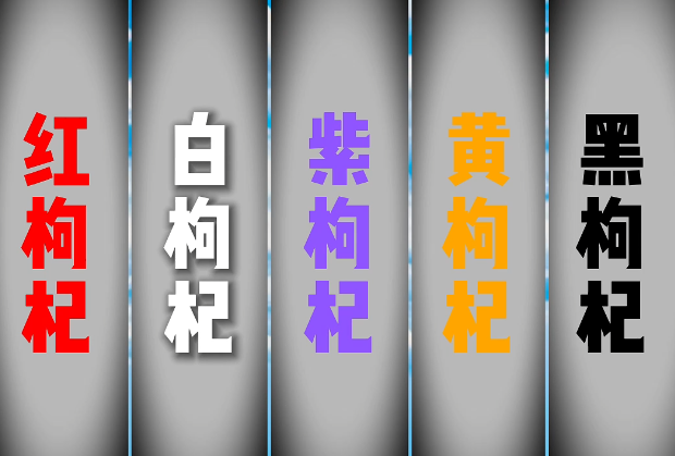 柴達木枸杞的“五彩天團”
