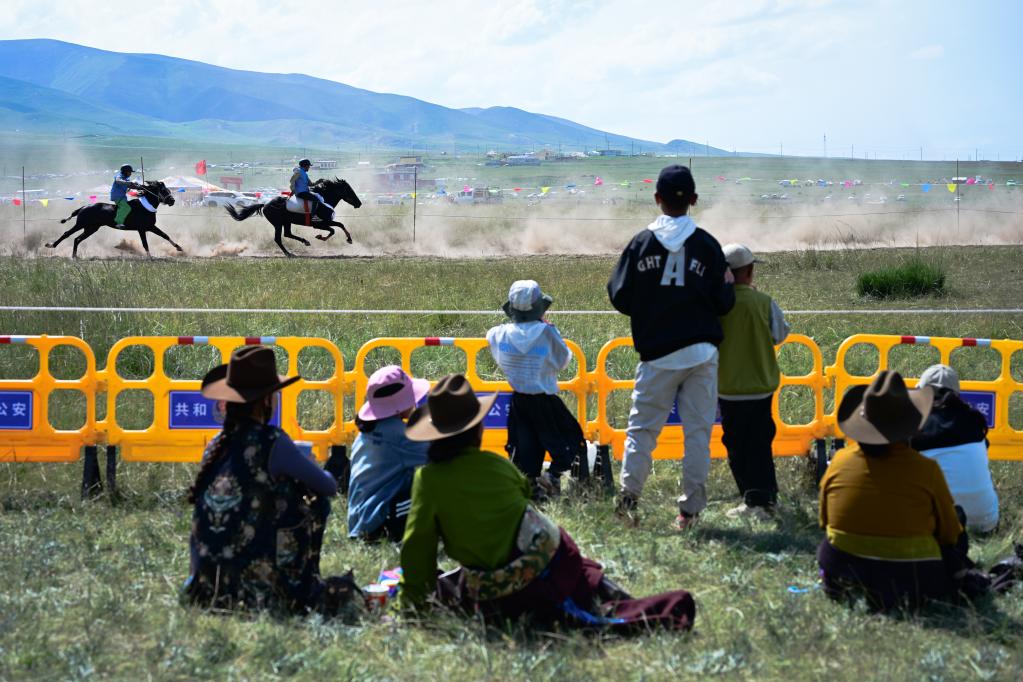 青海湖畔的草原盛会