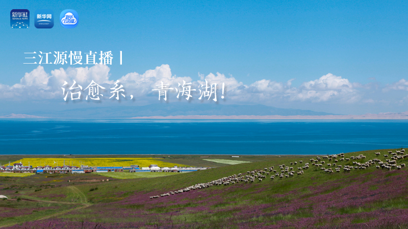 三江源慢直播丨治愈系，青海湖！