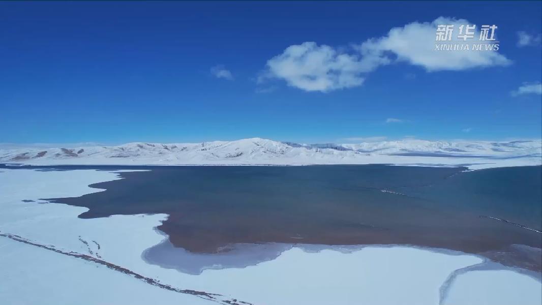 青?，敹啵憾喾N珍稀野生動物亮相黃河源頭
